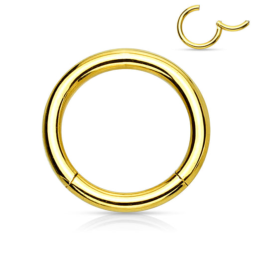 PVD Over High Quality Precision Hinged Segment Hoop Rings