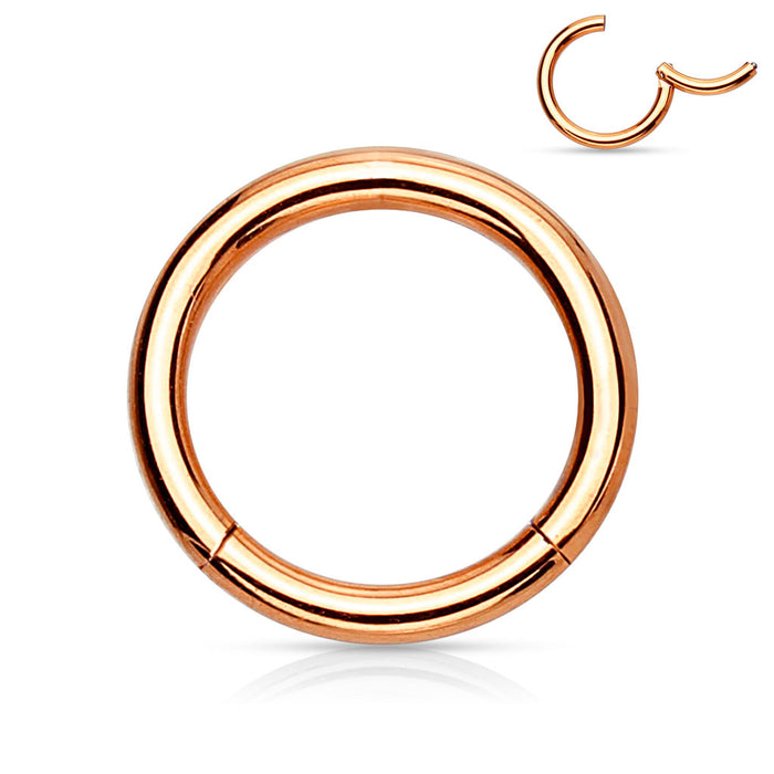 PVD Over High Quality Precision Hinged Segment Hoop Rings