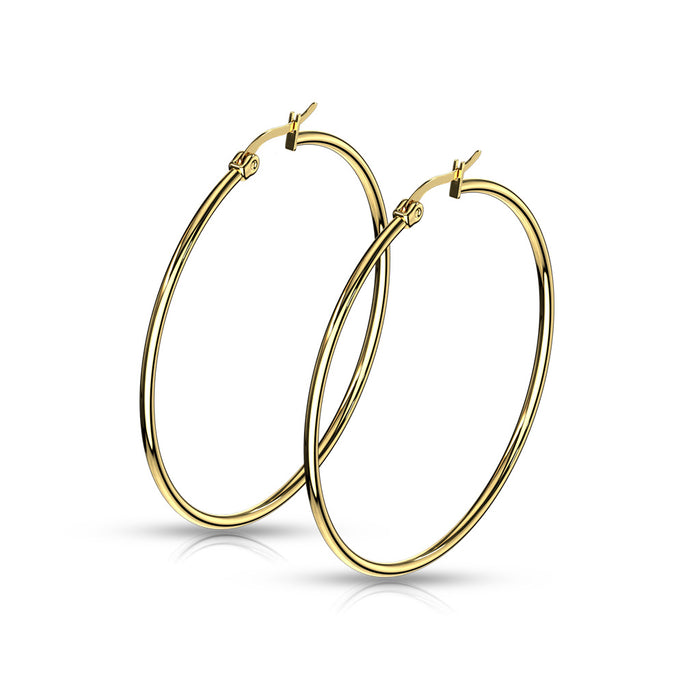 Pair of Gold IP 316L Surgical Steel Round Hoop Earrings